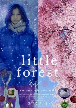 Little Forest: Winter Spring